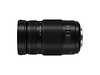 100-300mm, F4.0-5.6 II, Lumix G Vario Lens for Mirrorless Micro Four Thirds Mount Thumbnail 2