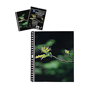 11 x 14 in. Art Profolio Pollyglass Pages (10 Pages)