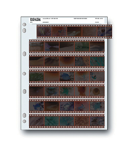 35mm Negative Pages (Holds 7 Strips 5 Frames) - 25