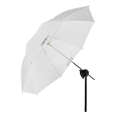 Shallow Translucent Umbrella (Medium, 41 IN.) Image 0