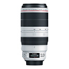 EF 100-400mm f/4.5-5.6L IS II USM Lens Thumbnail 2