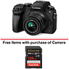 Lumix DMC-G7 Mirrorless Micro Four Thirds Digital Camera with 14-42mm Lens (Black) Thumbnail 0