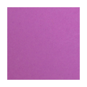 Widetone Seamless Background Paper (#91 Plum, 53 In. x 36 ft.)
