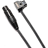 D-Tap to 4-Pin XLR Female Cable (32 In.) Thumbnail 1