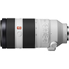 FE 100-400mm f/4.5-5.6 GM OSS Lens Thumbnail 4