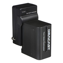 1x NP-F 6600mAh Battery and Charger Kit Image 0