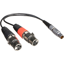 XLR Breakout Cable for Shogun (Input Only) Image 0