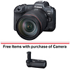 EOS R5 Mirrorless Digital Camera with 24-105mm f/4L Lens Thumbnail 0
