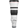 RF 600mm f/4L IS USM Lens Thumbnail 4