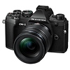OM-5 Mirrorless Micro Four Thirds Digital Camera with 12-45mm f/4 PRO Lens (Black) Thumbnail 1