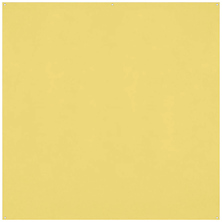 8 x 8 ft. Wrinkle-Resistant Backdrop (Canary Yellow) Image 0