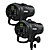 D1 500/500 Air Studio Kit, with 2 D1 500 Watt Second Monolights - Pre-Owned