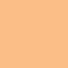 21 x 24 in. E-Colour #285 3/4 CT Orange (Sheet) Image 0