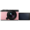 Lumix DC-S9 Mirrorless Digital Camera with 18-40mm Lens (Sakura Pink) Thumbnail 2