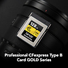 128GB Professional GOLD Series CFexpress Type B Memory Card Thumbnail 1