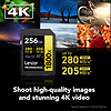 256GB Professional GOLD Series 1800x UHS-II SDXC Memory Card Thumbnail 3