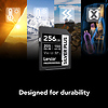 256GB Professional SILVER PLUS UHS-I SDXC Memory Card Thumbnail 5