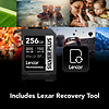 256GB Professional SILVER PLUS UHS-I SDXC Memory Card Thumbnail 6