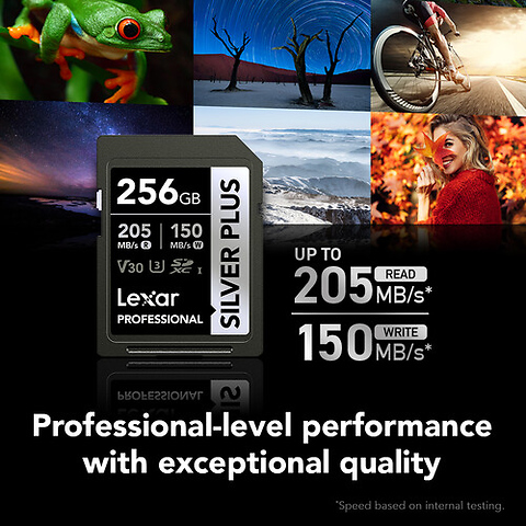 256GB Professional SILVER PLUS UHS-I SDXC Memory Card Image 2