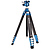 CyanBird 2 Carbon Fiber Tripod with G36PT Inverted Ball Head