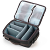 Core Unit Case for DJI Mini Drone (Black) Thumbnail 1