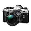 OM-5 Mark II Mirrorless Micro Four Thirds Digital Camera with 14-150mm f/4-5.6 II Lens (Silver) Thumbnail 2