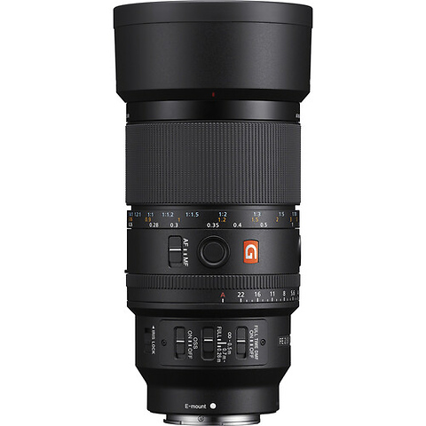 FE 100mm f/2.8 Macro GM Lens Image 5