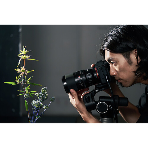 FE 100mm f/2.8 Macro GM Lens Image 8