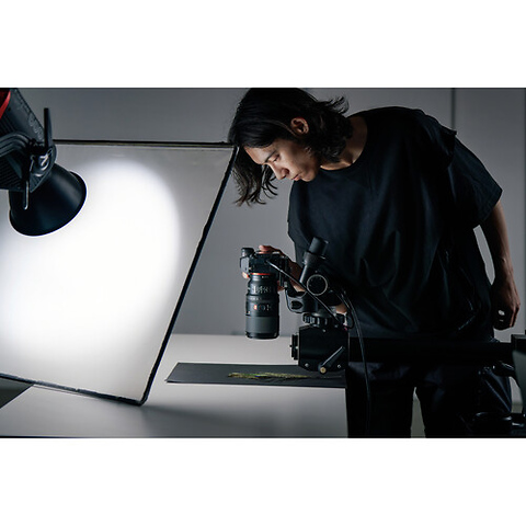 FE 100mm f/2.8 Macro GM Lens Image 11