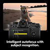 Z f Mirrorless Digital Camera with 24-70mm f/4 Lens (Silver) Thumbnail 8