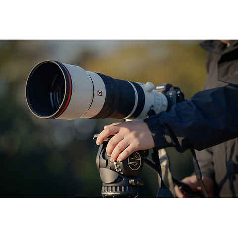 FE 100-400mm f/4.5 GM OSS Lens Image 7