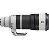 FE 100-400mm f/4.5 GM OSS Lens Thumbnail 2