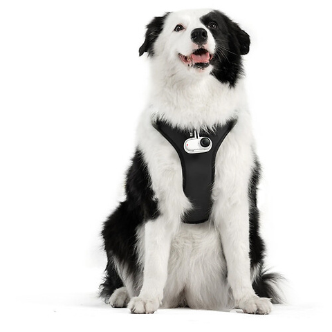 Pet Harness Mount Kit (Large) Image 7