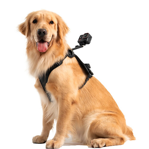 Pet Harness Mount Kit (Large) Image 8
