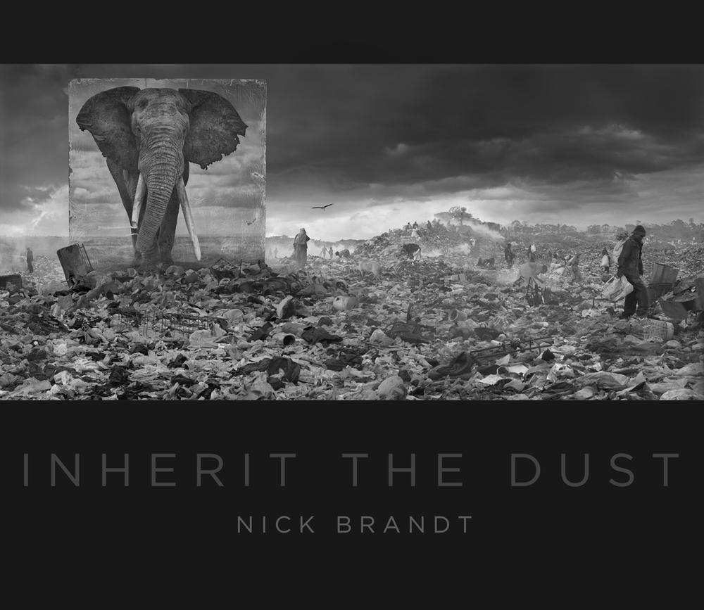 NICK BRANDT: Inherit The Dust