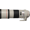 EF 300mm f/4.0L IS USM Lens Thumbnail 2
