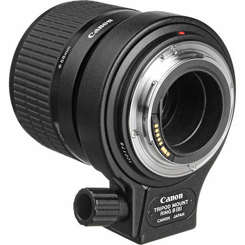 MP-E 65mm f/2.8 1-5x Macro Lens Image 3