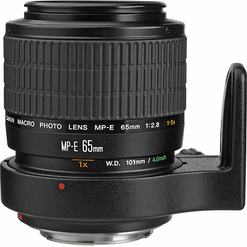 MP-E 65mm f/2.8 1-5x Macro Lens Image 1