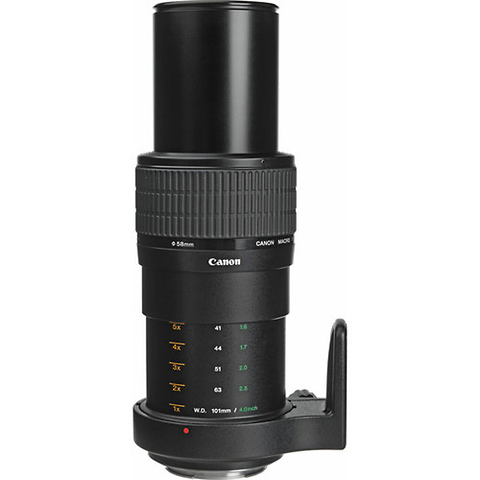 MP-E 65mm f/2.8 1-5x Macro Lens Image 2