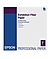 Exhibition Fiber Paper for Inkjet, 24 x 30in. (25 Sheets)