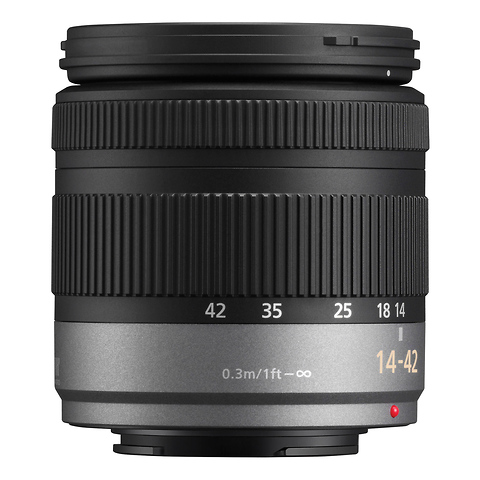 Lumix G 14-42mm f/3.5-5.6 Vario ASPH Mega OIS Lens Image 2