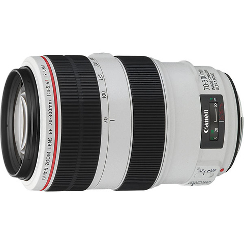 EF 70-300mm f/4.0-5.6L IS USM Lens Image 0