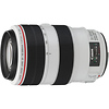 EF 70-300mm f/4.0-5.6L IS USM Lens Thumbnail 0