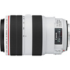 EF 70-300mm f/4.0-5.6L IS USM Lens Thumbnail 1