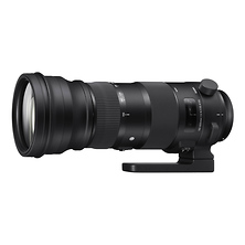 150-600mm f/5.0-6.3 DG HSM OS Sports Lens (Canon EF Mount) Image 0