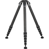 GT5563GS Systematic Series 5 Carbon Fiber Tripod Legs (Giant) Thumbnail 0