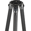 GT5563GS Systematic Series 5 Carbon Fiber Tripod Legs (Giant) Thumbnail 3