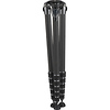 GT5563GS Systematic Series 5 Carbon Fiber Tripod Legs (Giant) Thumbnail 2