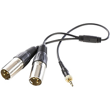 SR-UM10-CC1 3.5mm TRS to Two XLR Male Output Y-Cable for Wireless Mic Systems Image 0