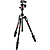 Befree Advanced Carbon Fiber Travel Tripod with 494 Ball Head (Twist Locks, Black)